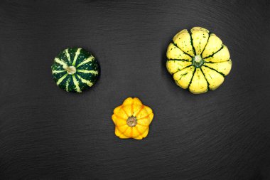 Siyah arka planda dekoratif balkabakları. Sonbahar hasadı Cadılar Bayramı için hazır..