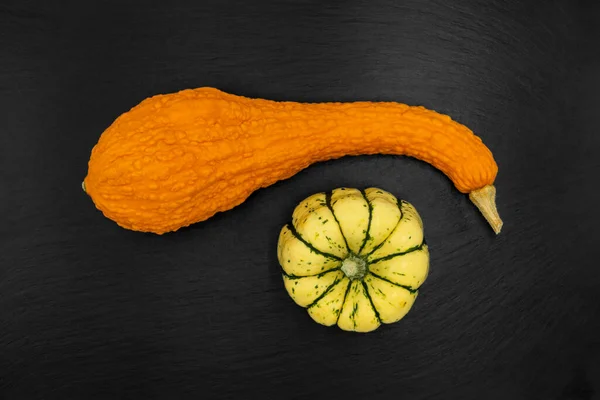 Siyah arka planda dekoratif balkabakları. Sonbahar hasadı Cadılar Bayramı için hazır..