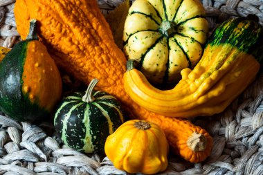 Sonbahar, balkabakları ve yapraklarla dolu. Sonbahar evi dekorasyonu. Sıcak sonbahar havası. Şükran Günü. Cadılar Bayramı.