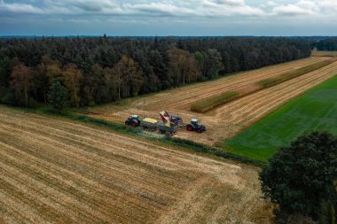 Sulak yapıyorum. Bileşen mısır ekinlerini biçer. Tarım. Drone fotoğrafı.