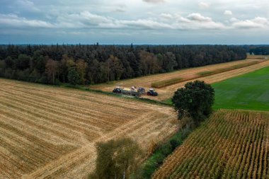 Sulak yapıyorum. Bileşen mısır ekinlerini biçer. Tarım. Drone fotoğrafı.