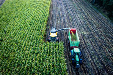 Sulak yapıyorum. Bileşen mısır ekinlerini biçer. Tarım. Drone fotoğrafı.