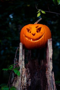 Balkabaklı Cadılar Bayramı tasarımı. Doğal bir arka planda DIY Cadılar Bayramı balkabakları.