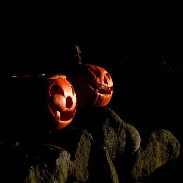 Balkabaklı Cadılar Bayramı tasarımı. Doğal bir arka planda DIY Cadılar Bayramı balkabakları.