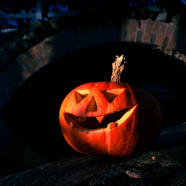 Balkabaklı Cadılar Bayramı tasarımı. Doğal bir arka planda DIY Cadılar Bayramı balkabakları.