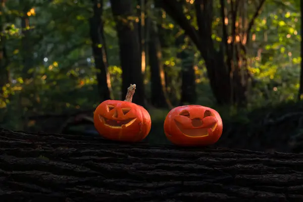 Balkabaklı Cadılar Bayramı tasarımı. Doğal bir arka planda DIY Cadılar Bayramı balkabakları.