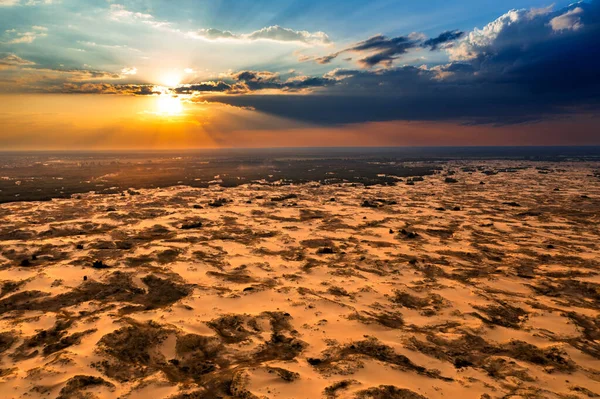 Gün batımında eşsiz bir çöl parkı. Ukrayna, Ulusal Doğa Parkı Oleshky Kumları batan güneşin ışınlarında.