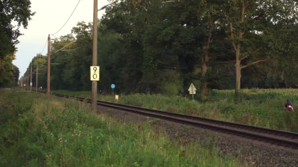 Vasúti Átjáró Közeledik Vonat Hang Leeresztem Felemelem Gátat Vasúti Átjáró — Stock videók