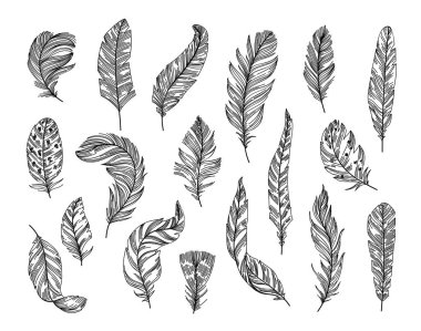 Etnik tüyleri çiz. El yapımı kuş tüyü, ışık ve yumuşak tüy. Kabile çizgisi sanat vektör illüstrasyon seti kuş tüyü etnik vintage
