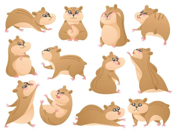 Çizgi Film Hamsterları Farklı Pozlarda Sevimli Bir Hayvan Tüylü Kemirgen — Stok Vektör