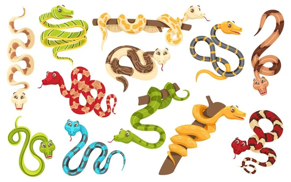 Cobras Desenhos Animados Várias Poses Mascote Anaconda Cobra Fofa Engraçado —  Vetores de Stock