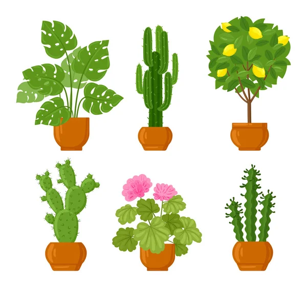 Cartoon Huis Botanische Decor Potplanten Verschillende Kamerplanten Met Groene Bladeren — Stockvector