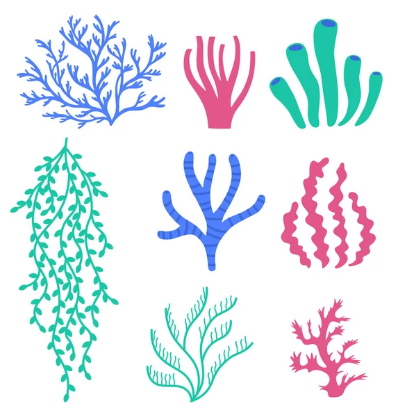 Deniz Mercanları Yosunlar Altı Renkli Bitkiler Deniz Altı Yaban Hayatı — Stok Vektör