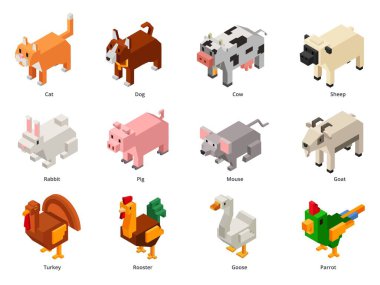 İzometrik evcil hayvanlar. Düşük polyester hayvanlar ve çiftlik kuşları. Kare kedi, çokgen köpek ve voxel tavşanı iç çiftlik izometrik illüstrasyonunun üç boyutlu vektör kümesi