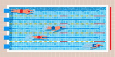 Top view swimming pool. Pool race with professional swimmers in swimwear, water sport vector illustration. People taking part in sport competition, exercising. Healthy lifestyle concept