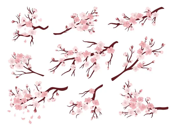 Ramas Flores Cerezo Árboles Florecientes Japoneses Flores Sakura Conjunto Ilustración — Vector de stock