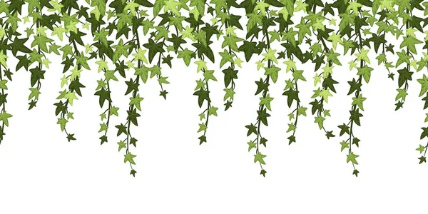 Зеленый Плющ Растения Фон Висячая Виноградная Лоза Листьями Цветочный Ботанический — стоковый вектор