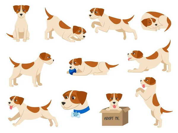 Cartoon Dog Playful Beagle Pup Pet Sits Runs Sleeps Plays — Stock Vector