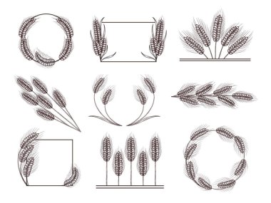 El yapımı buğday dekoru. Buğday çerçevesi, hasat sınırı ve bölme. Buğday çelengi vektör çizimi. El çizimi, çivi ve çelenk.