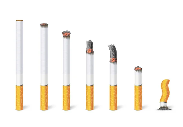 Cigarette Burn Stages Tobacco Burning Process New Cigarette Butt Isolated — Stockvektor