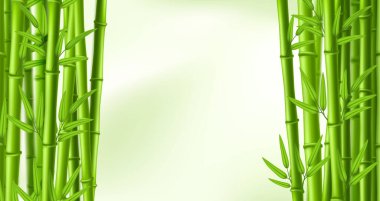 Bambu çerçevesi. Bambu saplı ve yapraklı yeşil çerçeveli, Çin ormanı ve zen sınır vektörü arkaplan resmi yeşil afiş çerçevesi bambu çerçevesi