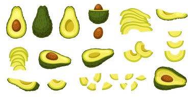 Cartoon fresh avocados. Whole avocado, halves with pit, sliced and chopped pieces isolated superfood vector illustration set. Delicious natural products with vitamins, healthy cooking clipart