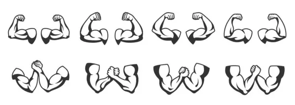 强壮的手臂肌肉肌肉手臂 弯曲的二头肌和健身或体操模板卡通矢量插图一套肌肉力量手臂标志 用于体操收藏 免版税图库矢量图片