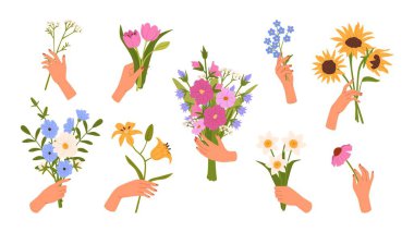 Çiçek buketini tutan eller. Vahşi çiçekli kadın eli, papatya, lale ve ayçiçeği, zambak buketleri. Düğün davetiyesi ve tebrik kartı için çiçek tasarımı. Vektör seti.