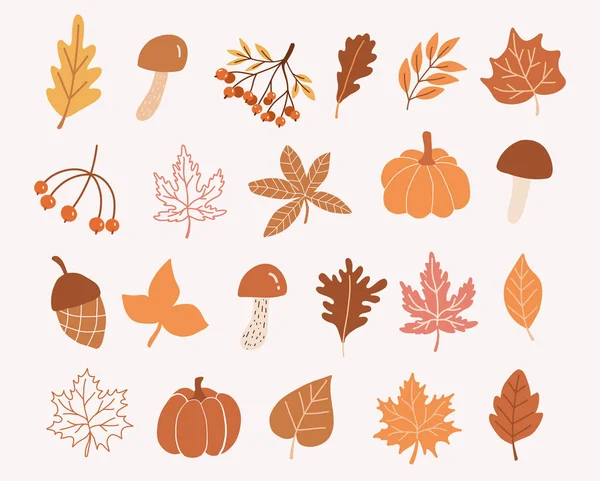 Conjunto Elementos Outono Folhas Outono Queda Folhas Outono Desenhadas Mão —  Vetores de Stock