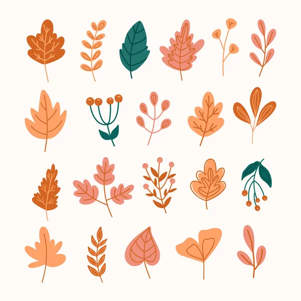 Conjunto Elementos Outono Folhas Outono Queda Folhas Outono Desenhadas Mão — Vetor de Stock