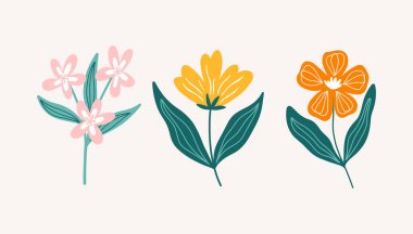 Modern çiçek elementleri seti. Çiçek ve yeşil yapraklar.