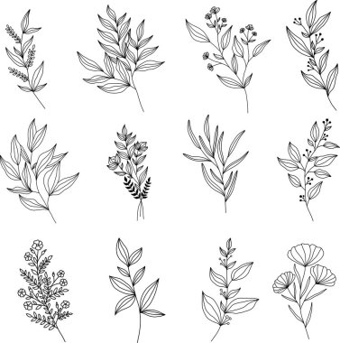 Çağdaş sanat çiçekleri seti. Çiçekleri elle çiz