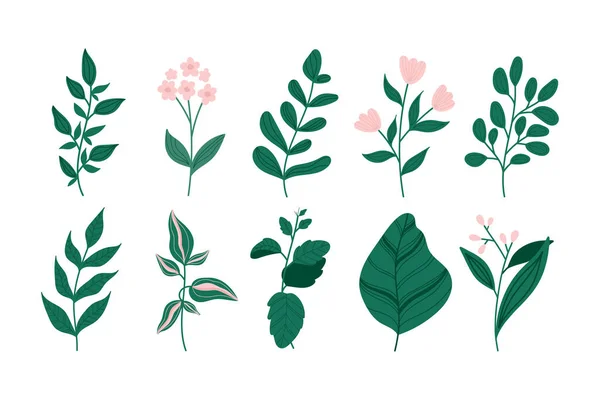 Conjunto Elementos Florais Modernos Flor Folhas Verdes Desenho Mão Botânico — Vetor de Stock