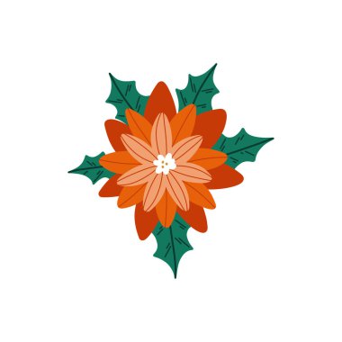 El çizimi Noel çiçekleri. Kış bitkileri. Yeni yıl ve Noel için dekor..