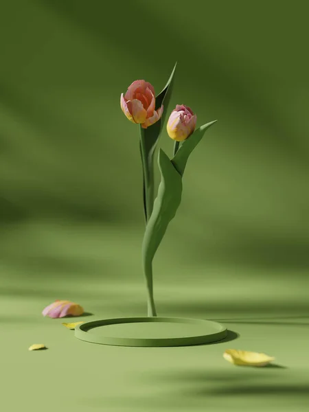 Exibir Pódio Fundo Verde Com Flor Tulipa Rosa Pétala Natureza — Fotografia de Stock