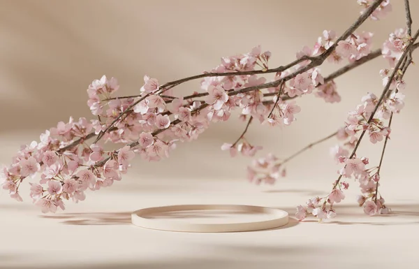 Background Beige Podium Display Sakura Pink Flower Tree Branch Cosmetic Stok Foto