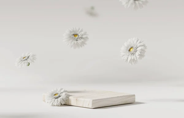 Tło Wyświetlacz Podium Drewna Biały Kwiat Stokrotki Spada Krok Promocji — Zdjęcie stockowe