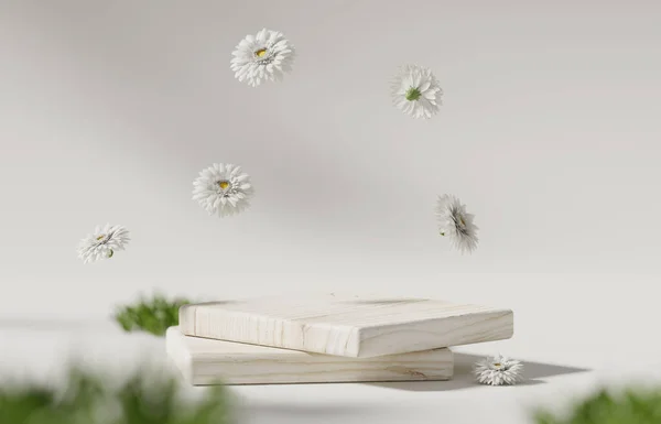 Hintergrund Holz Podium Display Weiße Gänseblümchen Fallen Schritt Zur Förderung — Stockfoto