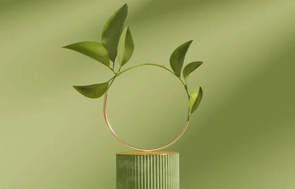 Affichage Podium Fond Vert Pastel Plantez Feuille Dans Cadre Rond — Photo