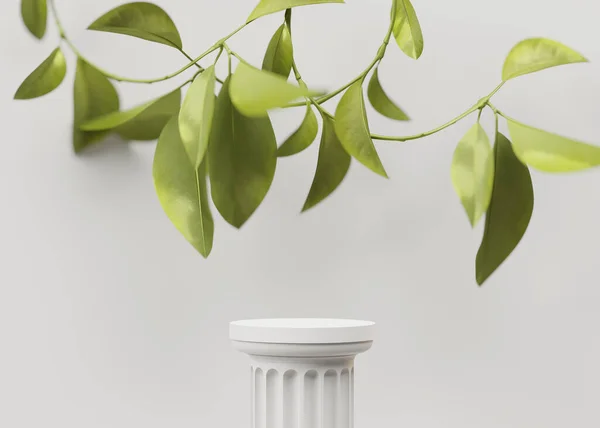 3Dディスプレイ白の表彰台の背景 丸い金の枠に植物の葉 自然の緑の枝 最小限の美の台座 化粧品のプレゼンテーション ギリシャ語の列の有機テンプレート スタジオ3Dレンダリング ストック写真