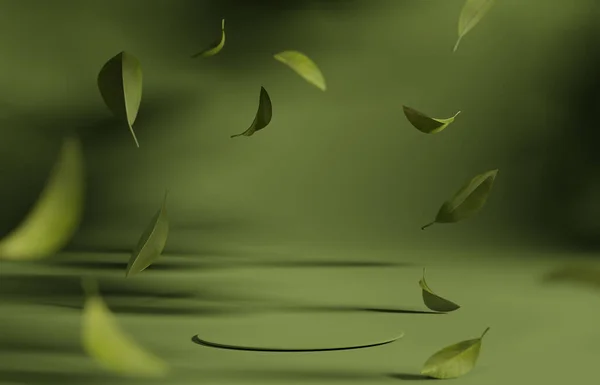 Фон Зеленый Подиум Листья Деревьев Падают Косметический Косметический Продукт Продвижения Лицензионные Стоковые Фото