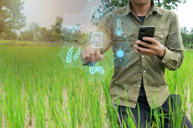 Çiftçiler pirinç tarlalarındaki pirinç ağaçlarını taramak ve tarım endüstrisine yardım etmek için teknolojiyi kullanmak için telefonlarını kullanıyorlar..