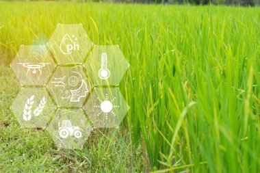 Tarım teknolojisi kavramı tarımsal okuma raporlarında yapay zeka, makine öğrenme teknolojisinin birleştirilmesinde yapay zeka, 5G