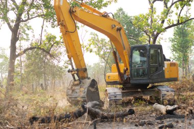 Barkhor 'un arabası ağaçlar kazıyor ve ormanı dolduruyor..