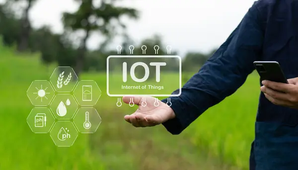 stock image Innovation IOT internet of things sensor Smart farm system for measuring moisture content in the planting area and making decisions on water release accurately and automatically