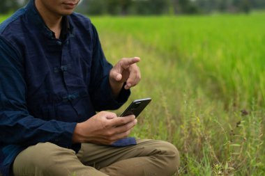 Pirinç tarlasında cep telefonunda oturan çiftçi.