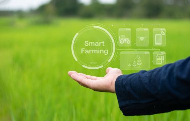 Akıllı tarım teknolojisi sürdürülebilir tarım üretimi yaratmayı, gereksiz maliyetleri azaltmayı ve kârı artırmayı yönetir..