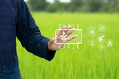 Akıllı tarım, tarımın sürdürülebilir gelişimini gerçekleştirebilen, gereksiz maliyetleri azaltabilen ve kârı maksimuma çıkarabilen kablosuz ağ tarafından kontrol ediliyor ve yönetiliyor..