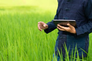 Çiftçiler kablosuz ağlara bağlanmak için tablet bilgisayarlar kullanırlar.