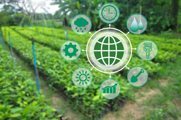 Smart farming technology concept with icons and symbols on green tea plantation.